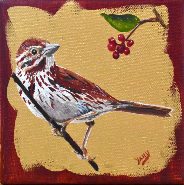 Song Sparrow