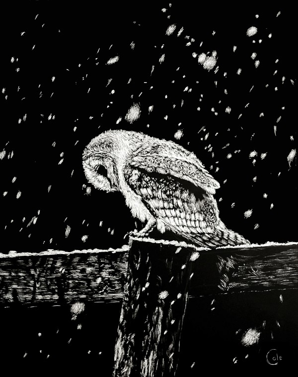 Snowfall at Night by Nathan Cole
