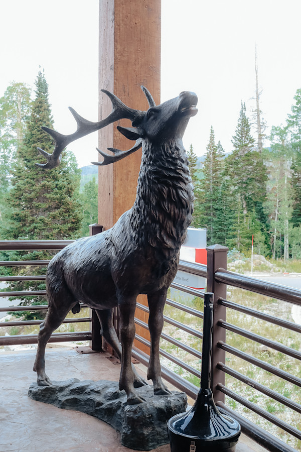 Grand Lodge Elk