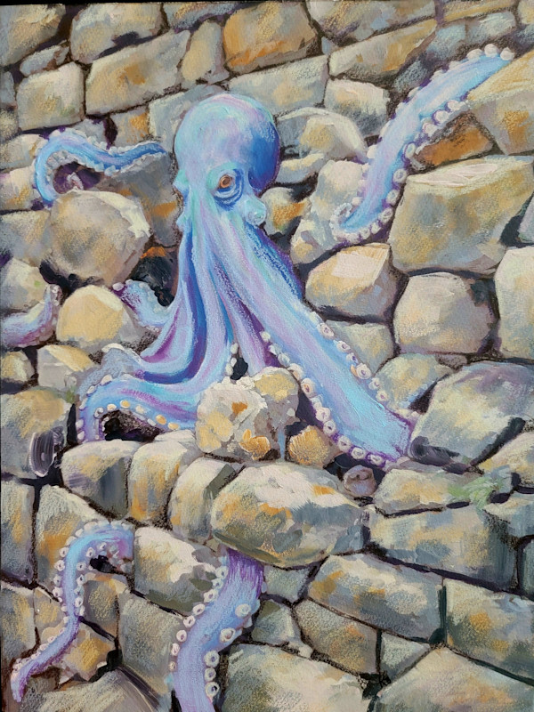 Rocktopus by Kayann Ausherman