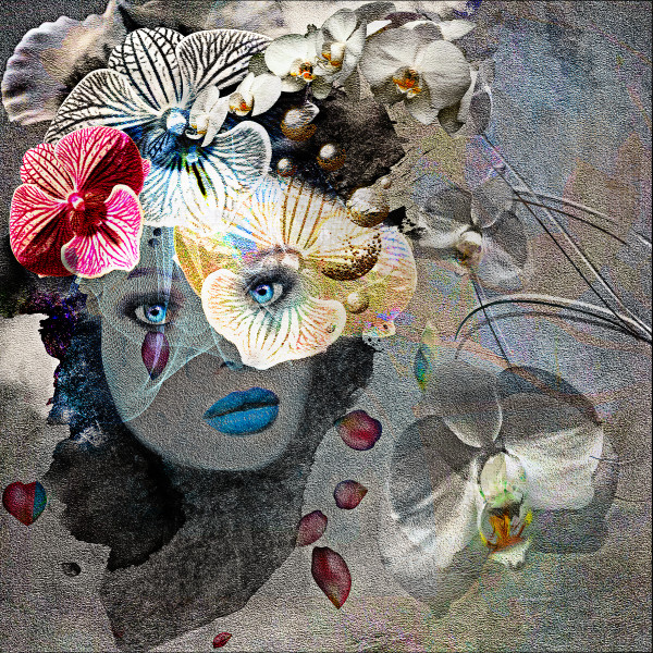 Orchid Eyes by Doriana Sinnett