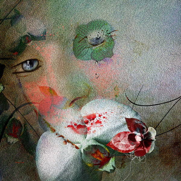 Orchid Tears by Doriana Sinnett