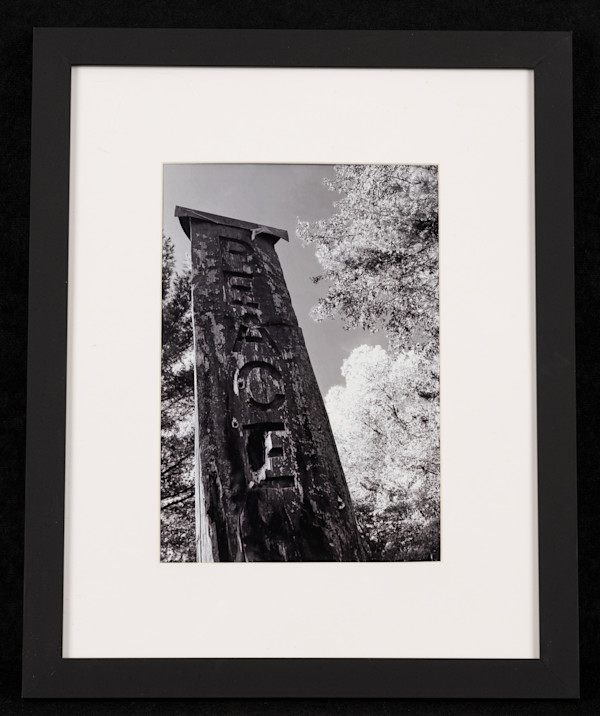 Peace Tower by Eva Ozmun
