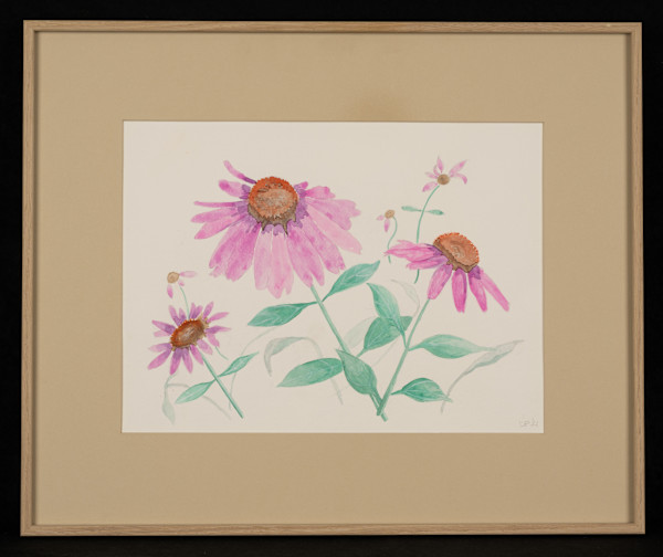 Pink Cone Flowers by Danielle Plut