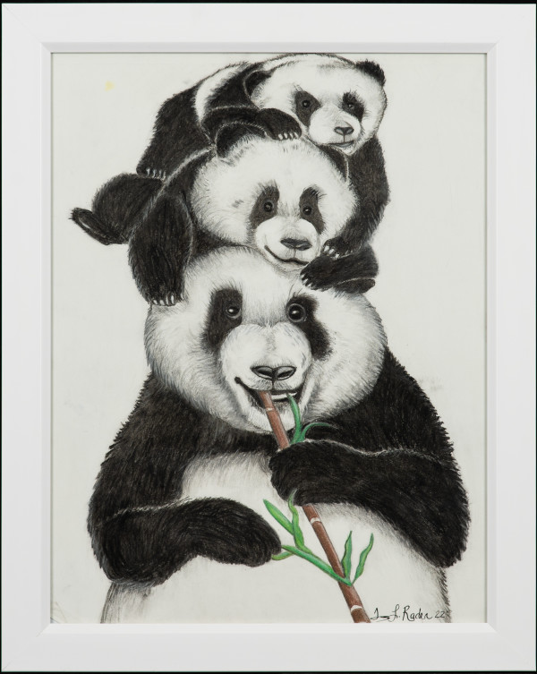 Bamboo Babies by Tammy Rader