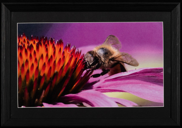 Bee by Vess Velikov
