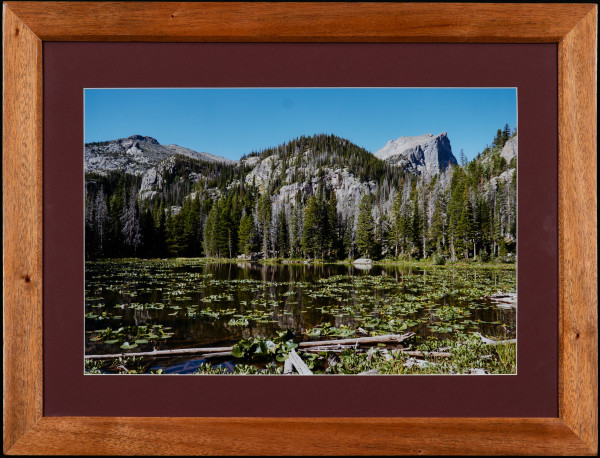 Nymph Lake, Rocky Mountain National Park, Colorado, USA by Amanda Wirsig