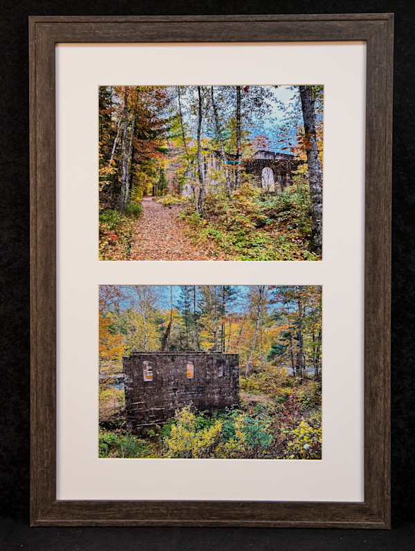 Color Guard by Betsy Anderson