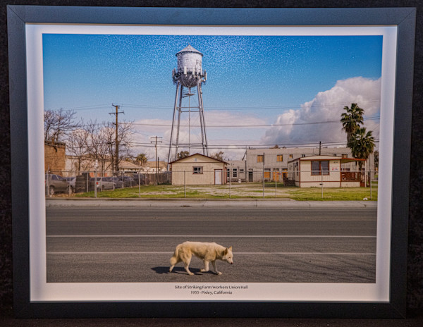 Farmworkers Strike by Chuck Avery