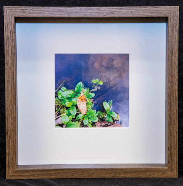 rest by Rebecca Brown