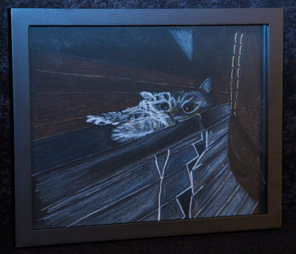 Trouble by Jared Dittbenner