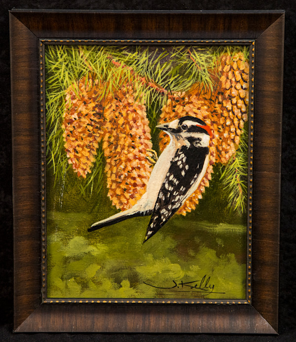 Downy Woodpecker by James Kelly