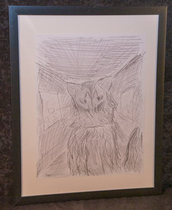 Cat 1 by Liam Matthews