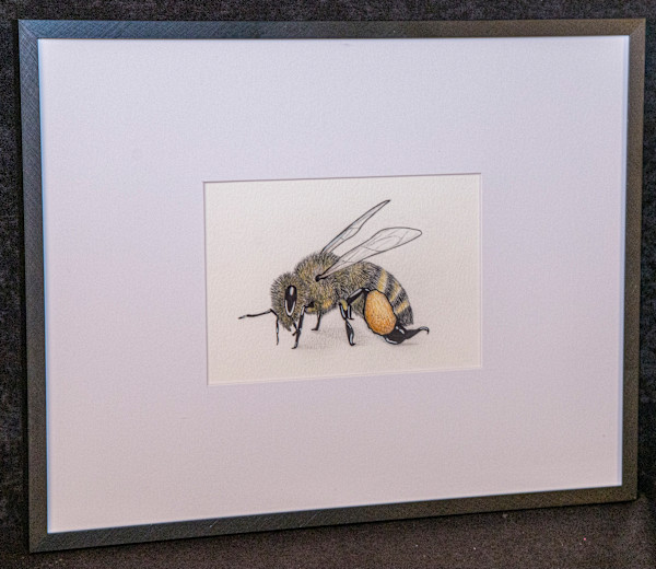 Bee by Katie Pearson