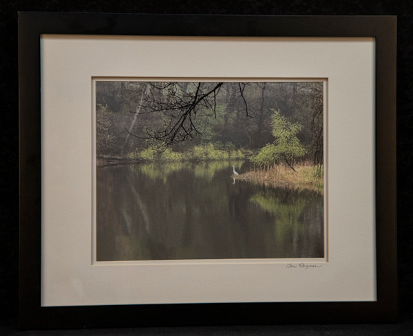 Lake Emily by Thomas Reynen