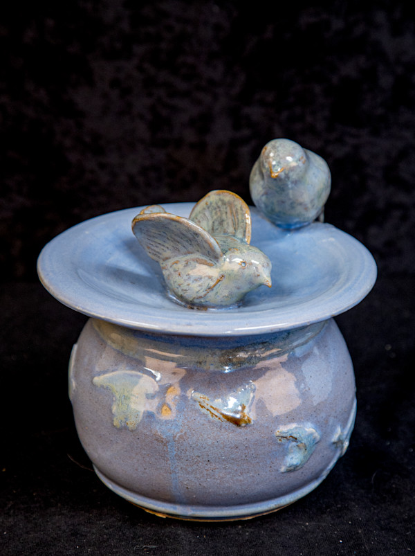 Blue Mist Reflections by Sydney Ward