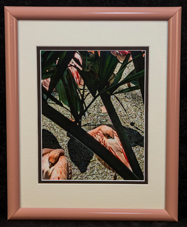 Pink Power Nap by Avery Ward