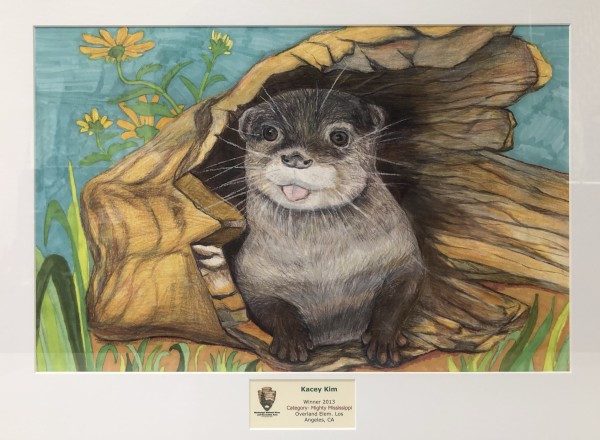 Big River Art by National Park Service, Various Artists