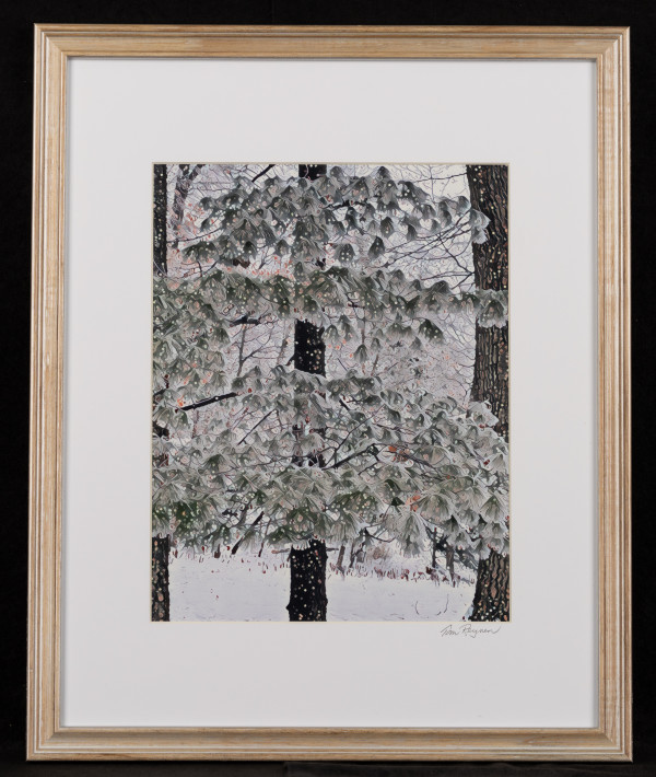 Snowy Pines by Tom Reynen