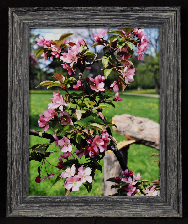 Resilient by Patty Ruppert