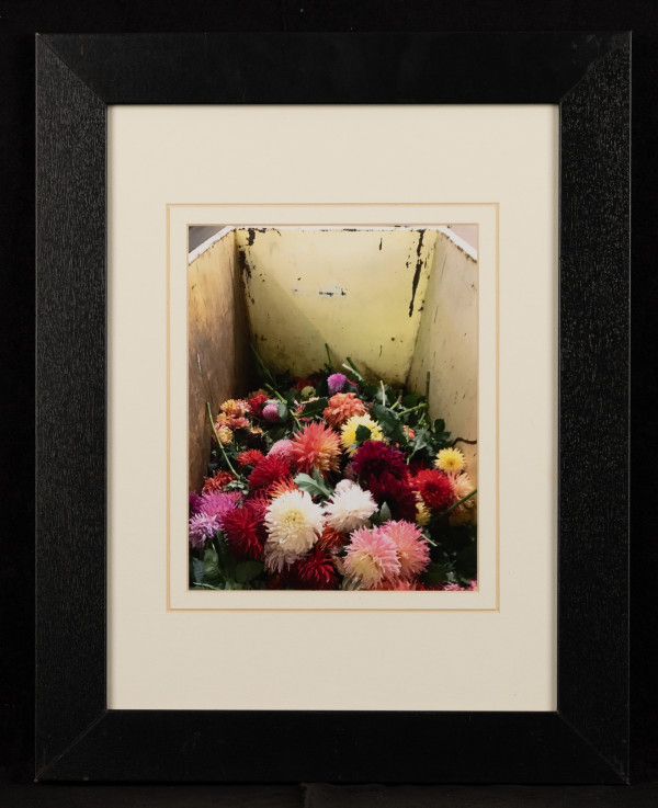 Dumpster Diving for Dahlias by Sandra Ward