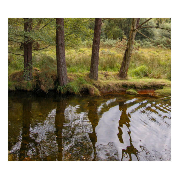 Glendasan River - Suella Holland by Michelle Boyle