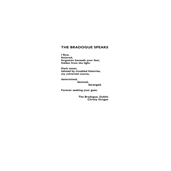 The Bradogue - Christy Grogan by Michelle Boyle