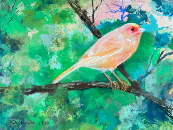 Red Factor Canary by Robin Maria Pedrero