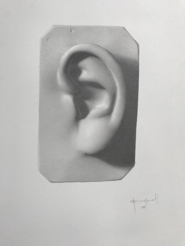 David's Ear by Britt Bradford