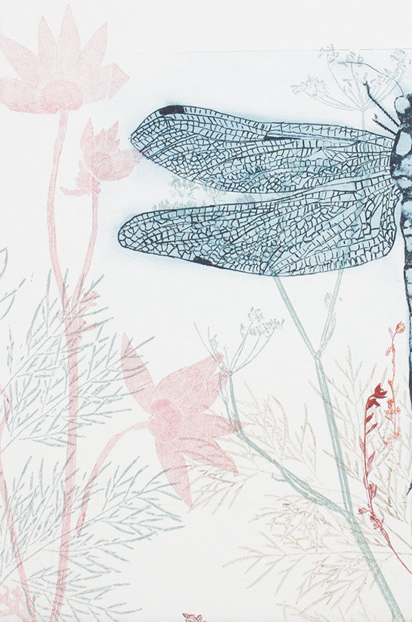 The Gift of a Dragonfly  (unframed) by Trudy Rice