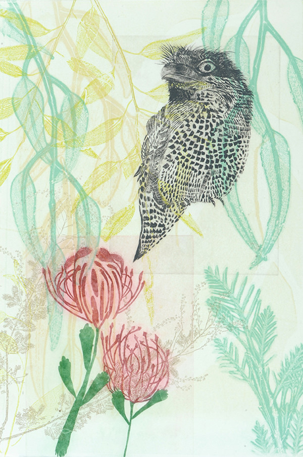 A curious tawny amongst the silver princess and pincushion proteas by Trudy Rice