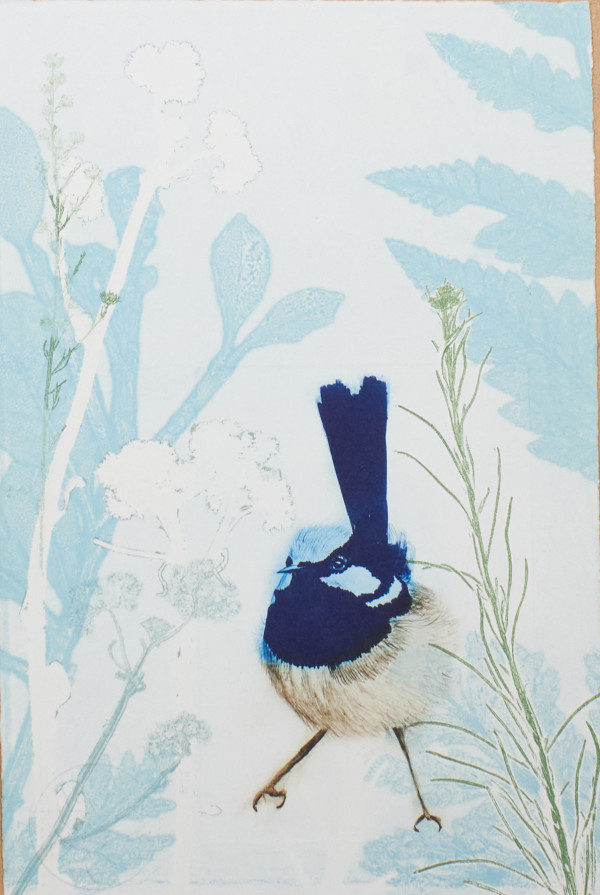Blue Wren in the Summertime by Trudy Rice