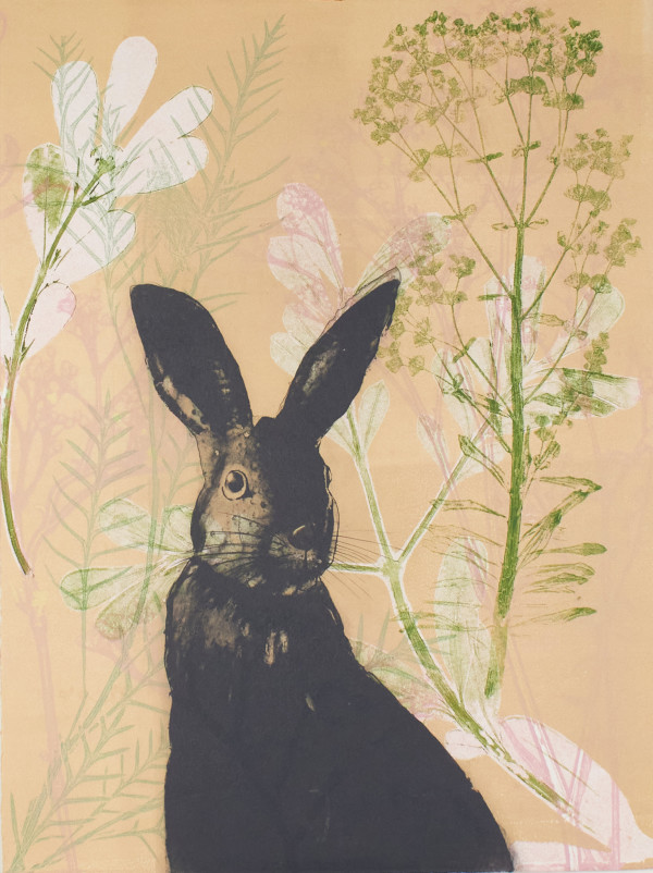 Cheeky Rabbit in the Euphorbia by Trudy Rice