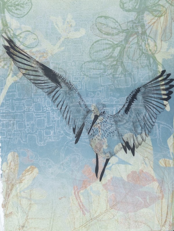 Curlew Flying West by Trudy Rice