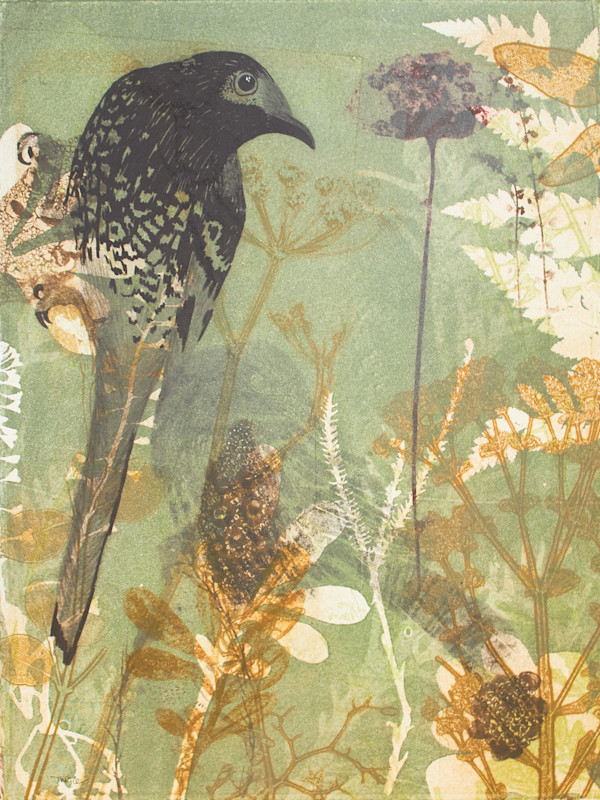 Feathered Beauty (unframed) by Trudy Rice