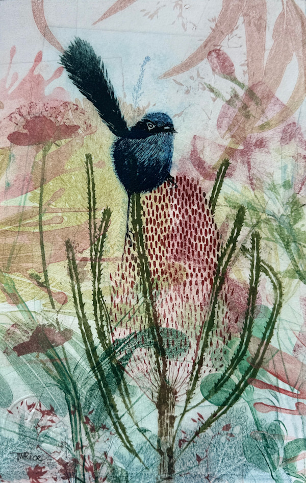 A Wren Among the Banksias by Trudy Rice