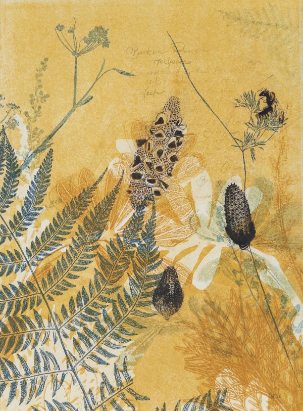 Native Bee and Banksias in the Summer by Trudy Rice