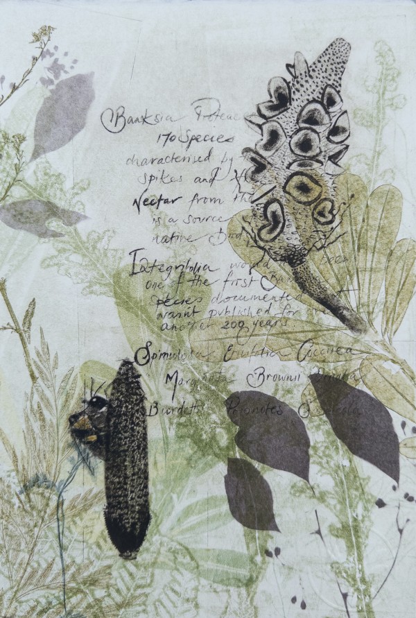 Native Bee in the Banksias (with Text) by Trudy Rice