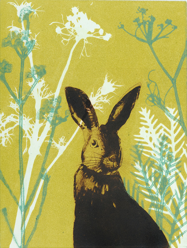 That brown rabbit in my garden by Trudy Rice