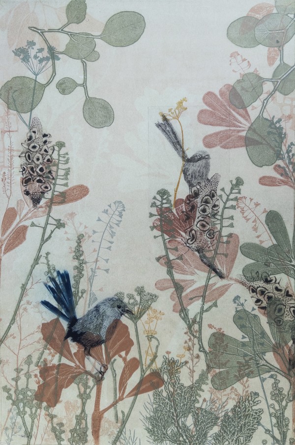 The Splendour of Birds in My Garden II (Framed) by Trudy Rice
