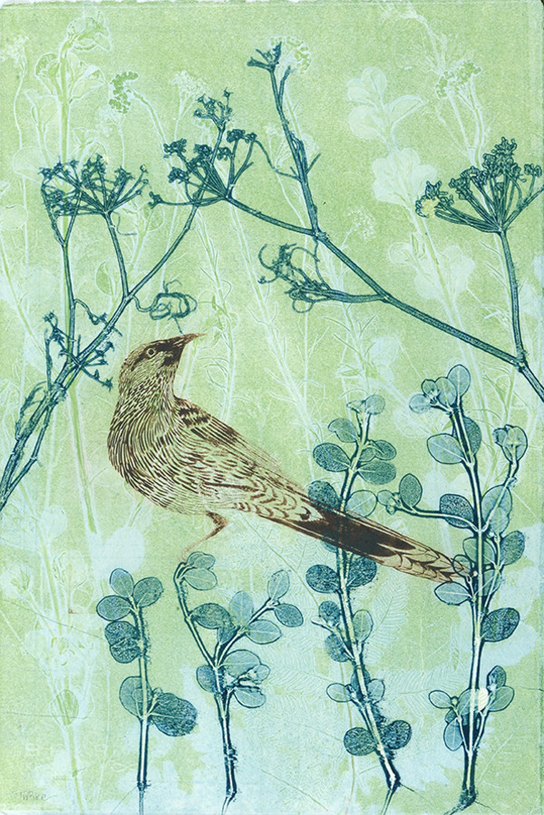 The beautiful wattlebird by Trudy Rice