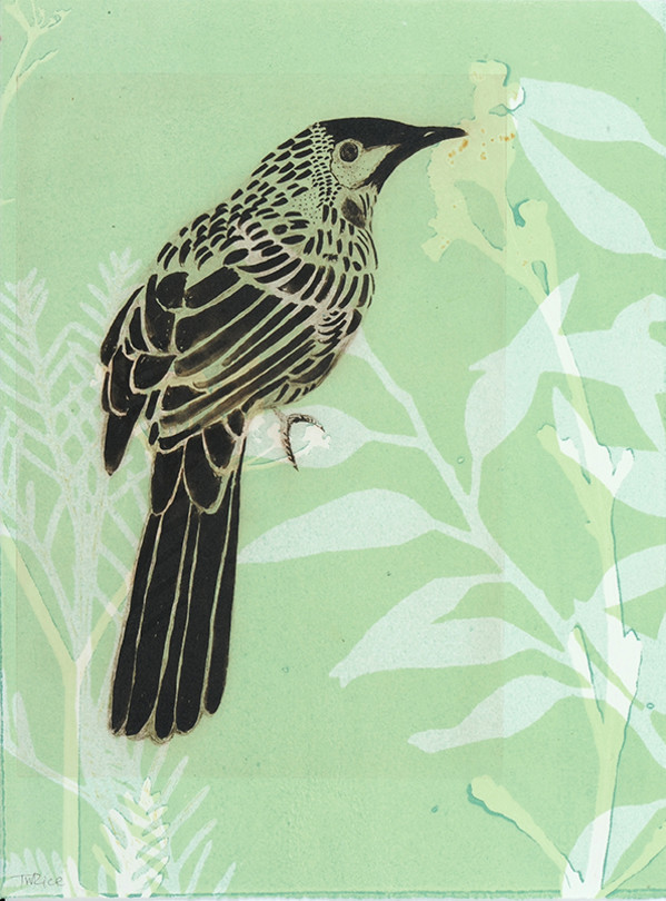 The poised Wattlebird by Trudy Rice