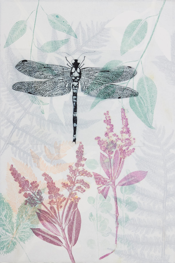 The serene dance of the dragonfly by Trudy Rice