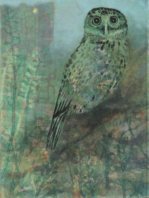 The Wisdom of the Boolook Owl by Trudy Rice