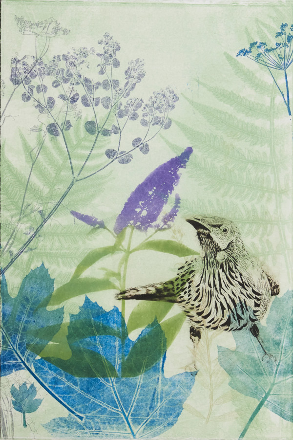 Wattlebird in amongst the Summer Lilac (buddleia) by Trudy Rice