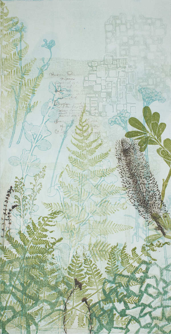 Wild Banksia (unframed) by Trudy Rice