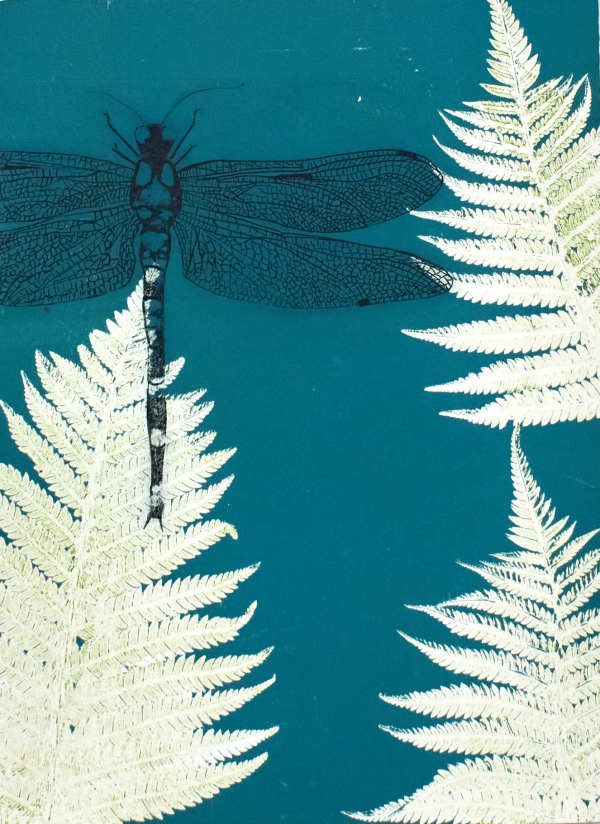 Dragonfly in the ferns by Trudy Rice