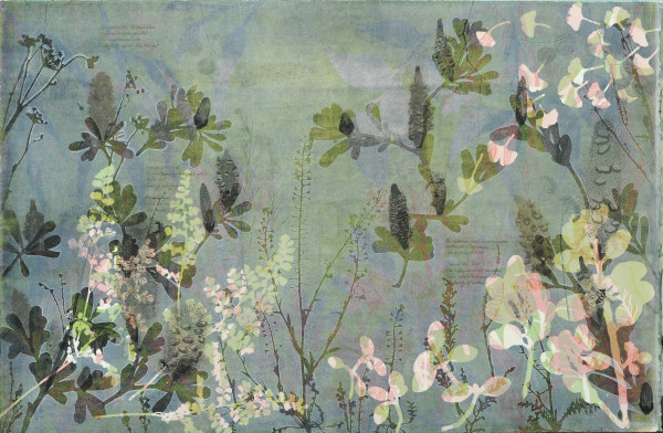 Elegant Banksia Garden (Framed) by Trudy Rice