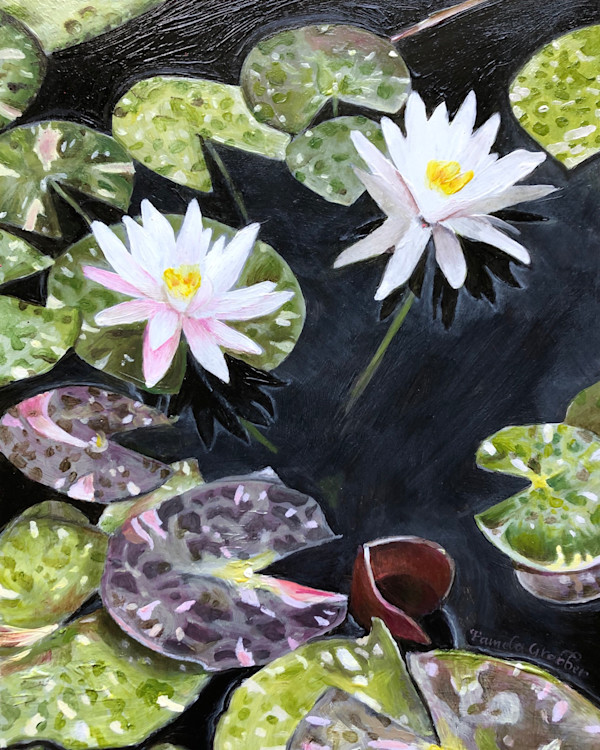 Water Lilies Moment by Pamela Grabber, Image 1.