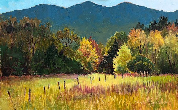 Finding Gold in Cades Cove by Pamela Grabber, Image 1.